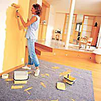 Castorama Bâche De Protection Absorbante OCAI 6 X 2 M