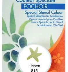 Castorama Godet D'huile Solide Spéciale Pochoir Coloris Lichen